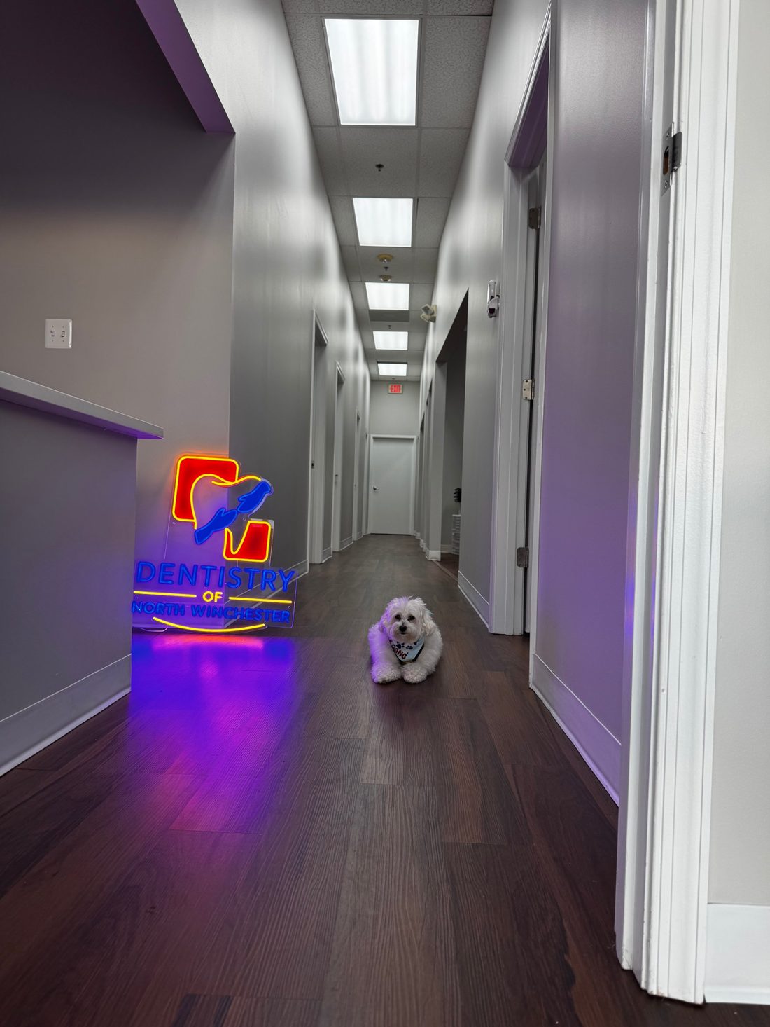 Hallway leading to our treatment rooms, with our illuminated logo sign